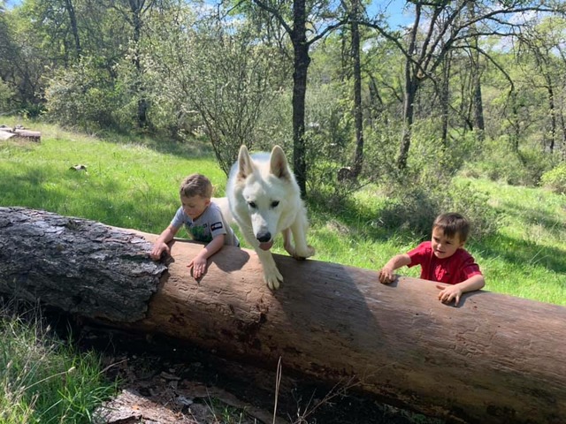 Jumping the log