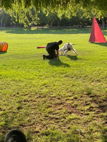 Bite work