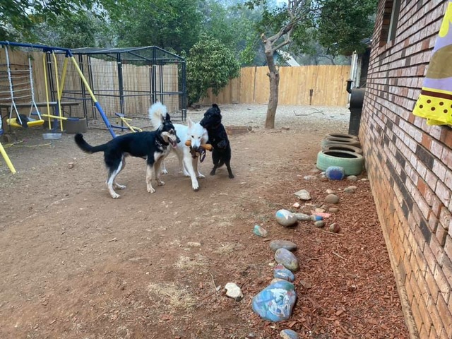 Ghost and one of his babies
