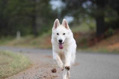 Ghost Going for a Run
