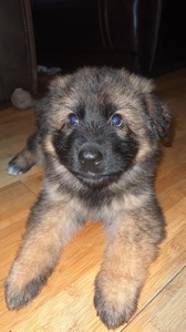 Sam